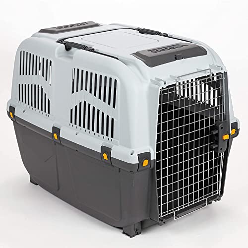 Transportbox für Hund oder Katze Skudo Iata, für den Transport im Auto zugelassen 6 grau