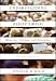 Understanding Behaviorism: Behavior, Culture, and Evolution