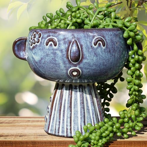 Planter-Ceramic-Cute-Face-Flower-Pot-Head-Indoor-Outdoor-Drainage-Hole-7x5x6-inches-Light-Blue Planter Ceramic Cute Face Flower Pot Head Indoor Outdoor Drainage Hole 7x5x6 inches Light Blue