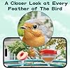 BROAIMX Smart Bird Feeder with Camera-AI Identify 11,000+ Species, 2K HD Auto Capture Birds Video & 64G TF Card, Solar-Powered Wireless Outdoor Design, Birdhouse with Built-in Two-Way Microphone #2