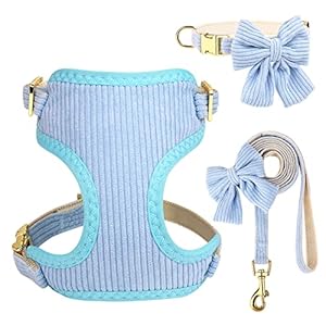 Didog Cute Small Dog Collar Harness & Leash Set, Adjustable Dog Collars and Leashes with Bowtie, Breathable Soft Mesh Padded Dog Vest for Puppies Small Dogs & Cats Walking(Blue, S)