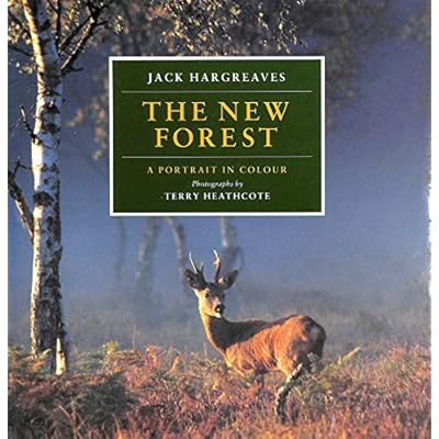 The New Forest: A Portrait in Colour