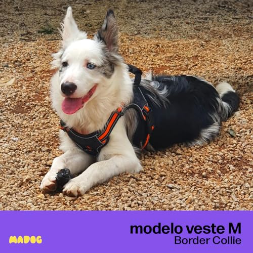 Peitoral Antipuxão Colete Resistente Cães Fortes MADOG Power Laranja (tamanho M)