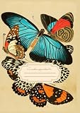Cahier Papillons Multicolores A4 21X29.7 96 pages lignées avec marge | La Nomadothèque: Couverture Matte Originale Élégante | Collection Bestiaire ... de notes étudiant - enseignant - entreprises