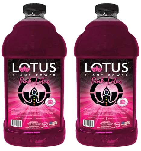 Lotus Energy Drink Concentrate 64 fl oz (Pink) Pack of 2