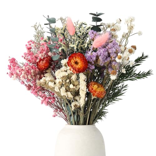 saerryor 30 Pcs Natural Dried Flowers?10 Kinds of Dried Flowers Set, Decorative Dried Flowers for DIY Dried Flower Bouquet, Vase Decoration(Color 3)