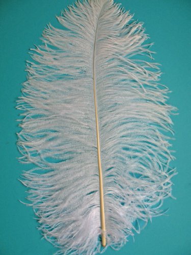 1 Pc Ostrich Feather Plume 18