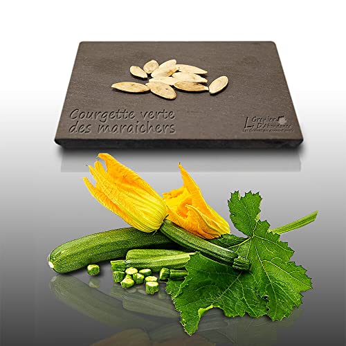 10 graines à semer - Le Grenier d'Abondance - COURGETTE Verte des Maraichers non coureuse - Curcurbita Pepo