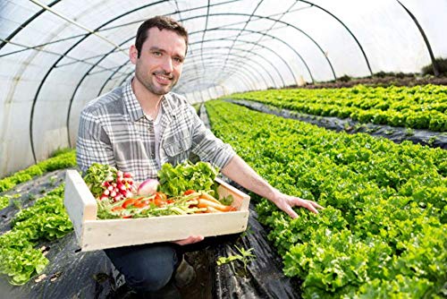 A&A Green Store Greenhouse Plastic Film Clear Polyethylene Cover UV Resistant (8 ft Wide x 25 ft Long)
