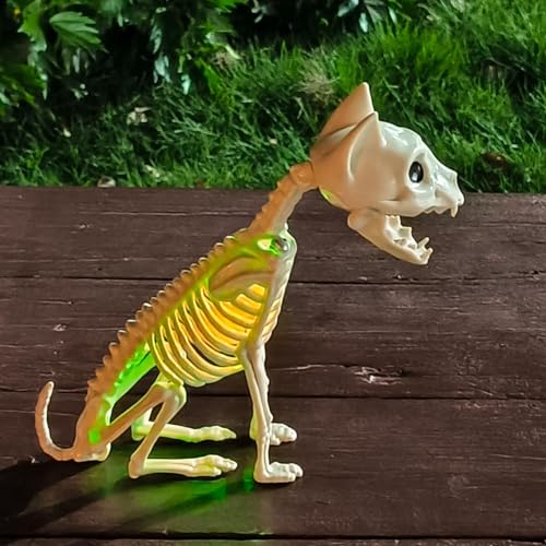 Statue squelette de chat et figurine décorative des os pour maison - 4