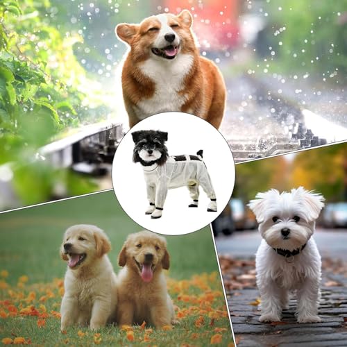 Combinaison imperméable pour chien avec sangle réglable ajustée - 5