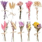 VAIPI 10 Pack Dried Flower Bouquets Various Dried Flower Combinations with Stem Mini Dried Embossing Natural Flower Bundles Artificial Flower Dried Floral Arrangement for Vase DIY Wedding Decor