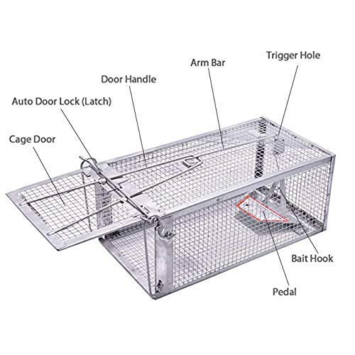 JGRZF Quality Chipmunk Trap 1 Door Humane Live Animal Mouse Cage Rat Mouse Mice Traps for Small Rodent Animals, for Indoor and Outdoor - Thumbnail 2