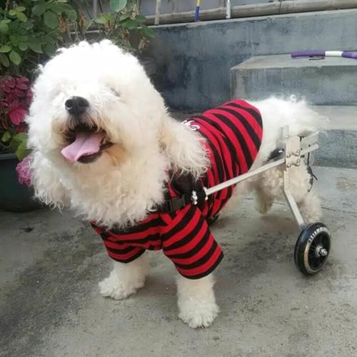Silla de ruedas para perros de ejercicio: carrito de rehabilitación activo 3