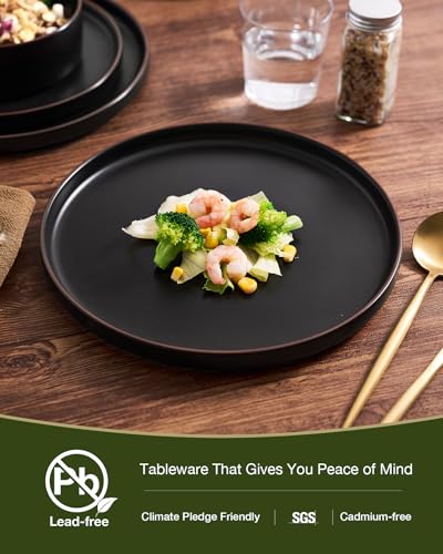 Image of Famiware Nebula Ridge Stoneware Dinnerware Sets with Pasta Bowls, Plates and Bowls Sets, Service for 4 (16 Pieces), Microwave and Dishwasher Safe Kitchen Plates, Matte Black