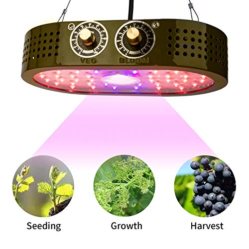 Benflor COB LED Grow Light 1100W Full Spectrum Lamp, Indoor Grow Lights