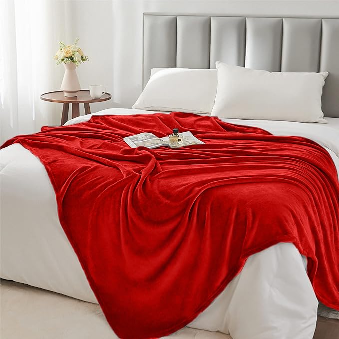ZZZMRH Luxury Mink Fleece Blanket Faux fur throw Soft Touch – Warm Fluffy Blanket Throws for Sofas, Couch, Bed Settees & Armchairs King size Silver Throws Travel Blanket, 200x240 CM