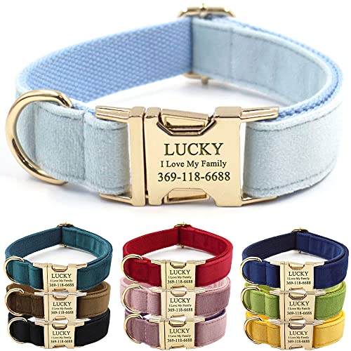 Collar personalizado para perro PETDURO en azul cielo