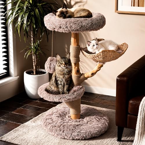 Sopapets Solid Wood Cat Tree for Large Cats, 41.3" Modern Cat Tower with Heavy…