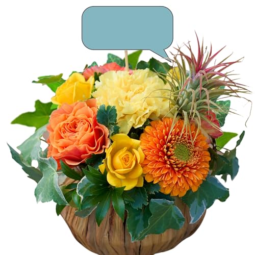 yGAvctzC̓`t[AWg iFEIWł܂j AWg AWgt[  Mtg a v[g yFLORANTz