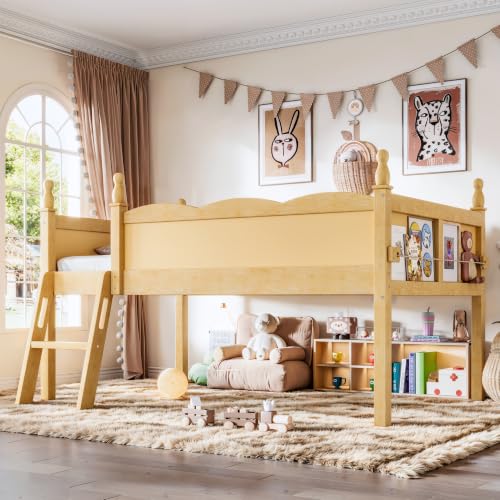 Bellemave low loft bed with side stairs and multi-grid bookshelf — storage built into the frame rather than added later