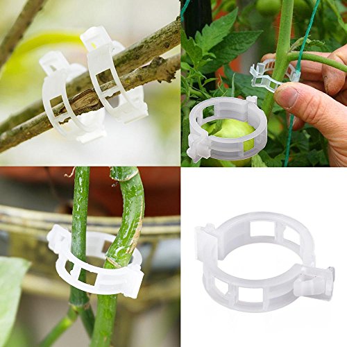 100PC Trellis Tomato Clips Supports Connects Plants Vines Trellis Twine Cages
