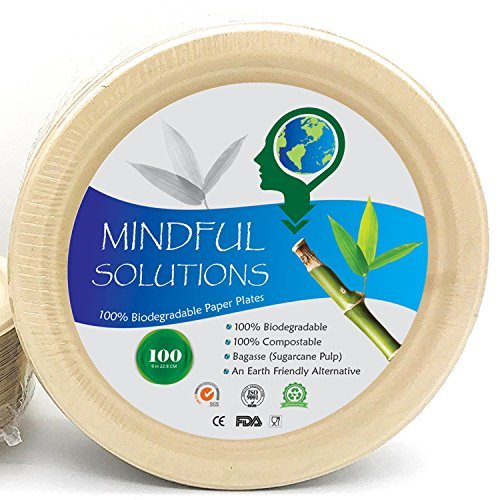 Paper Plates - Heavy Duty 9