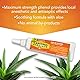 Campho-phenique Cold Sore Treatment with Drying Action -USA-
