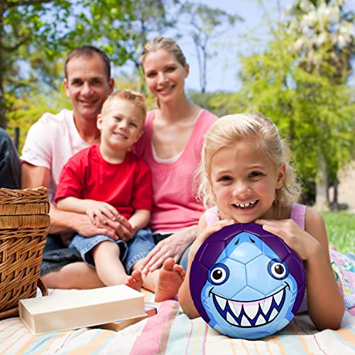 Western Star Cute Soccer Ball For Kids Size 3 - Lightweight - 5 Characters - Youth & Adult Soccer Players Long-Lasting Construction & Attractive Soccer Gifts (Finn The Shark) #TOP5