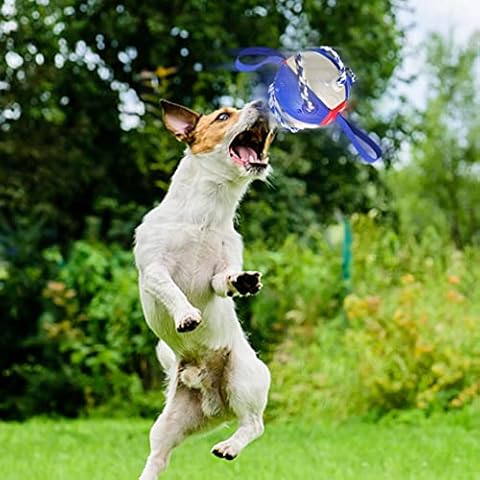 YingEfenO Dog Toy Balls UFO Magic Ball - Interactive with Easy Grab Tabs, Frisbee Ball, Pet Flying Saucer Football Soft Rope, Outdoor Indoor Toys Cover