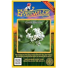 Everwilde Farms - 250 Glade Mallow Native Wildflower Seeds - Gold Vault Jumbo Seed Packet