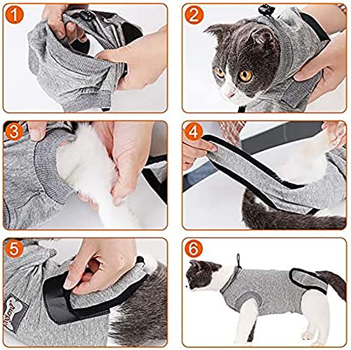 Alternativa al E-Collar de algodón para evitar infecciones en eccemas y cirugías 6