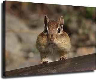 A Cute Eastern Chipmunk Canvas Wall Art Poster Print for Modern Bedroom Decor, Aesthetic Room Decoration (Framed,12x18 inch)