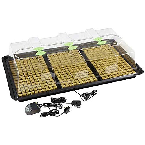 X-Stream Heat Propagator Large (Termostato incl.)