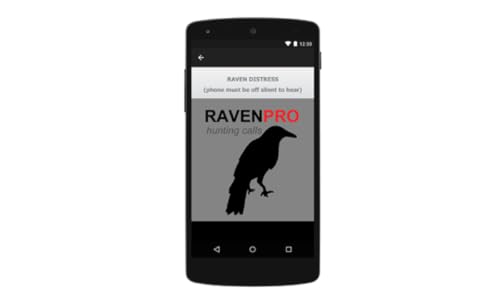 REAL Raven Hunting Calls App - 7 REAL Raven CALLS & Raven Sounds for Hunting! - (ad free) Raven e-Caller - BLUETOOTH COMPATIBLE - Thumbnail 2