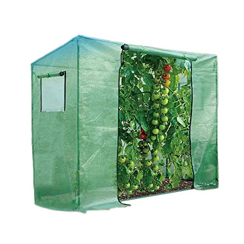 Preisvergleich Produktbild Gewächshaus ZLI Tomaten PET-Abdeckung, Begehbare Garten-Gartenpflanzen-Blumen Freienwinter, Roll-Up-Reißverschlusstür (Size : 200×77×169cm)