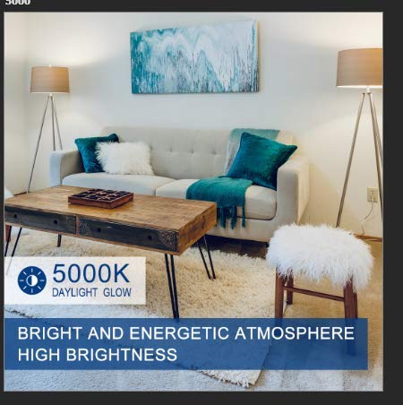 High Brightness R16 Br16 Mini Reflector Led Bulb,Dimmable E17 Intermediate Base Light Bulb, Daylight White 5000K, 50W Halogen Equivalent,For Bedroom, Book Case,Table Lamp,Dining Room - 4 Pack #TOP5