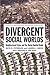 Divergent Social Worlds: Neighborhood Crime and the Racial-Spatial Divide (The American Sociological Association's Rose Series in Sociology)