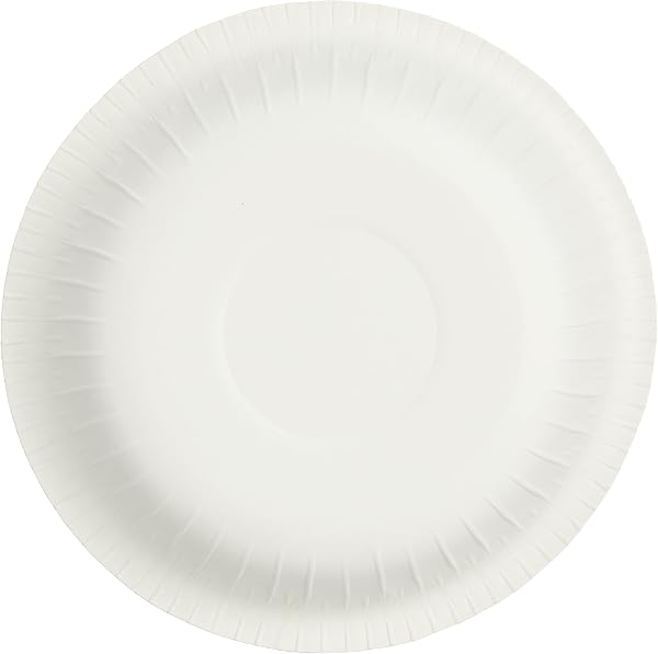 大和物産 使い捨て 紙皿 業務用 ペーパープレート 15cm 50枚入 - 3