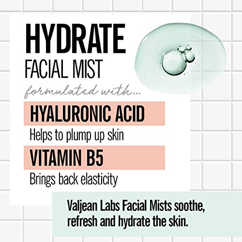 Valjean Labs Face Mist - Hydrate | Hyaluronic Acid + Vitamin B5 | Helps To Hydrate And Plump Skin And Restore Elasticity | Paraben Free, Cruelty Free, Made In Usa (4 Fl Oz) #TOP2