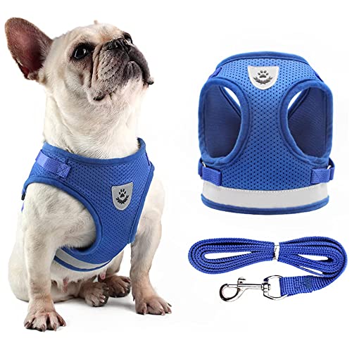 NeoStyle Dog Harness with Leash Set No Pull Adjustable Reflective Step-in Puppy Harness with Padded Vestfor Extra-Small/Small Medium Large Dogs and Cats (L Blue(2-piece set))