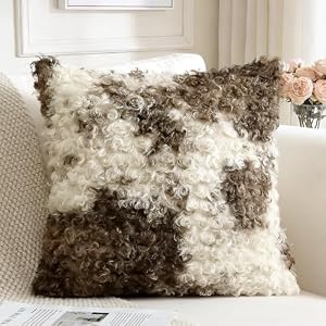 Sungeek 1 Stück Kunstpelz Boucle Plüsch Kissenbezug, Samt Kissenbezüge Sofakissen Dekokissen Deko Zierkissenbezüge Flauschig Kissenhülle für Schlafzimmer Wohnzimmer (45x45cm, Beige Dunkelbraun)
