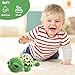 VOSSOT Tortuga de peluche, 28 cm Imagen de VOSSOT Tortuga de peluche, 28 cm