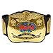 New Custom Tag Team World Heavyweight Wrestling Championship Belt | Adult size Replica TitleTag Team Wrestling Fan Title Belt (WF Tag Gold)