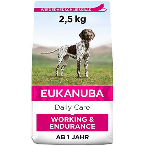 Eukanuba Hundefutter Daily Care für Arbeitshunde und Ausdauerbedarf