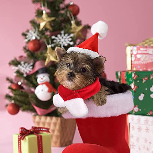 Obsgumu Dog Cat Pet Santa Hat With Scarf, Christmas Costume Set Pet Clothing With Santa Hat And Scarf For Cat Puppy Dog, Red Christmas Hat #TOP5