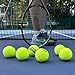 Teloon Championship Tennis Balls - Extra Duty - Regular Duty Felt Pressurized Tennis Balls (1 Can, 3 Balls)