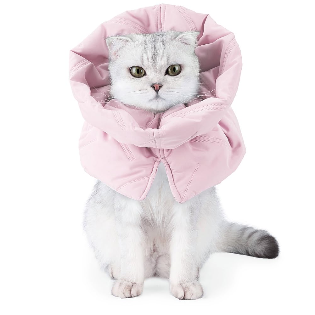 Amazon | [VNGOLERRY]エリザベスカラー 猫 犬 猫用 小型犬