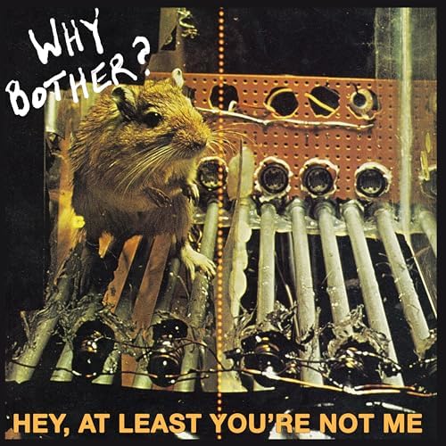 Hey, At Least You're Not Me Why Bother? Digital Music