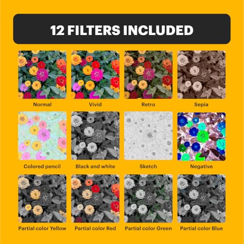 Kodak PIXPRO C1 Friendly Zoom Digital Camera - 13MP Compact Point and Shoot with 2.8” 180° Tilt LCD Flip Screen, Retro Vintage Design with 4X Zoom and 1080P Full HD Video for Travel, Vlogging, Black